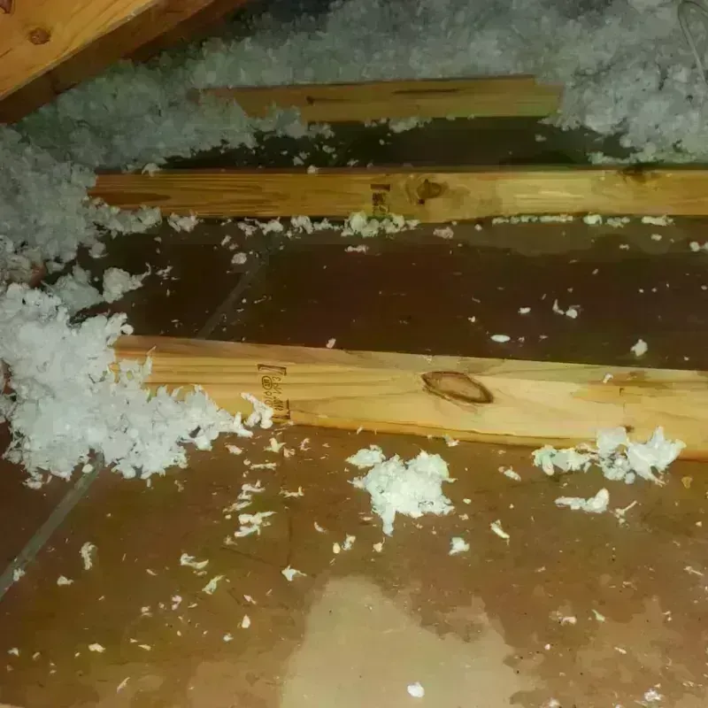 Attic Water Damage in Auberry, CA